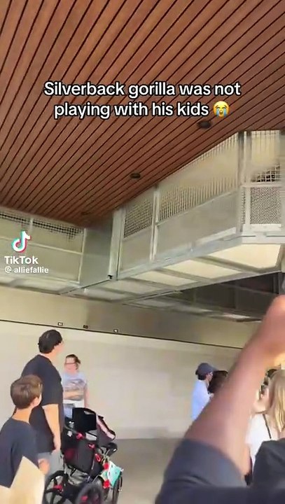 Maman dit “pas jour, toi !” 🦍