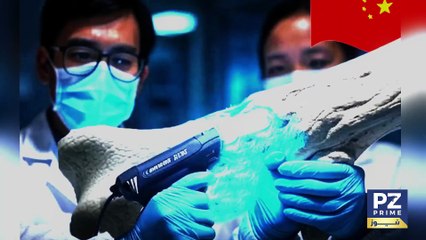 What is OysterPowered Bone Glue | Chinese Scientists Breakthrough Discovery  Bone 02 Glue