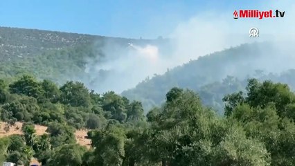 Milas'ta çıkan orman yangınına müdahale ediliyor
