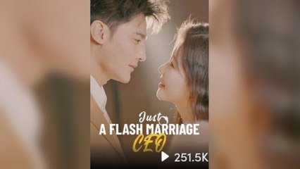 Just A Flash Marriage, CEO