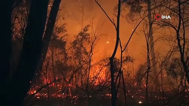 Aksu’da ormanlık alanda yangın: Alevlerle mücadele sürüyor