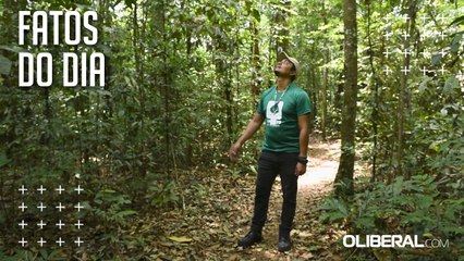 De resina que vira perfume à árvore dos desejos: conheça espécies curiosas do Parque do Utinga