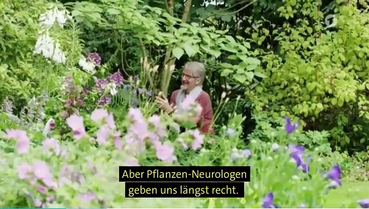 Meine heile Welt - Mein Garten (2)