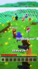 😎 rejoins le Discord dans ma bio #minecraft #mast