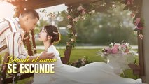 Donde El Amor Se Esconde Completo En Español