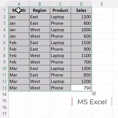 MS Excel PivotCharts