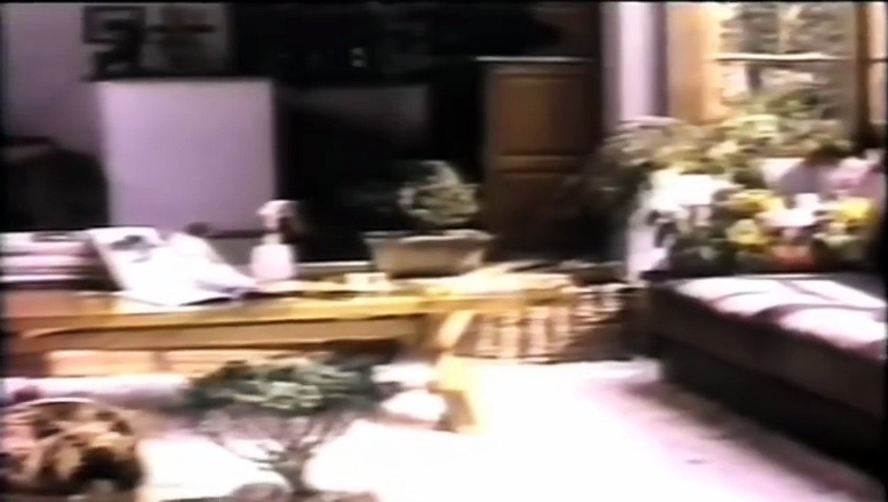 Carlton 1988 (Bonsai)