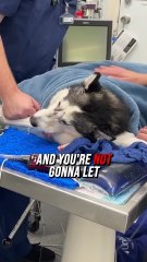 She Learned NOTHING From Coming on My Show a Year Ago