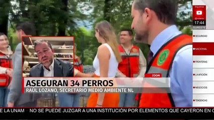 El secretario de Medio Ambiente de Nuevo León habla del estado de los 34 perros rescatados