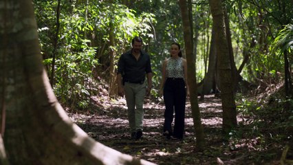 Mystery Island- Play for Keeps 2025