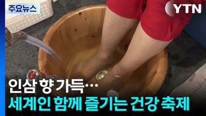 인삼 향 가득...세계인 함께 즐기는 건강 축제 / YTN