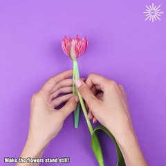Keep things lively with these practical hacks!