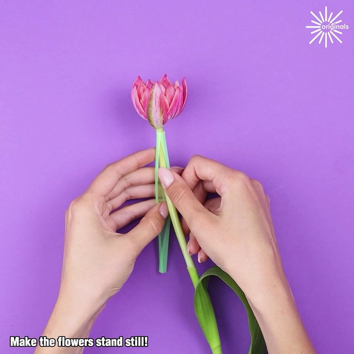 Keep things lively with these practical hacks!
