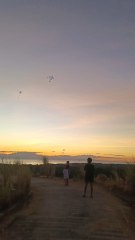 Flying Kite in the Afternoon