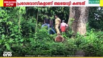 കോട്ടയം ഗാന്ധിനഗറിൽ കാട് കയറിയ ഇടത്ത് തലയോട്ടിയും അസ്ഥിക്കഷണങ്ങളും കണ്ടെത്തി
