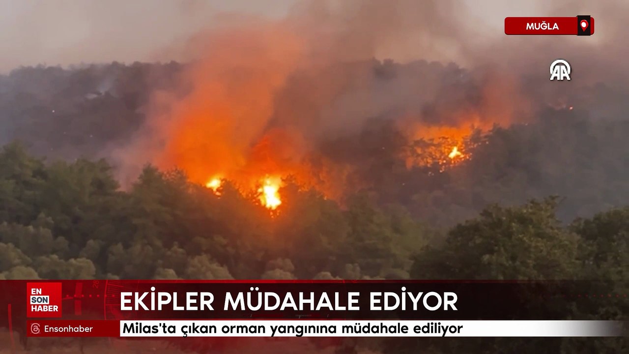 Muğla'da çıkan orman yangınına müdahale ediliyor