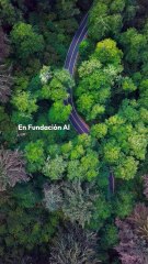 Pilar Matte Capdevila y el impacto social del modelo CREA