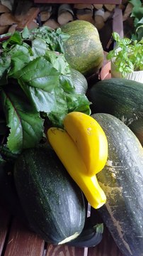 First Signs of Fall 🍂 Harvest Time in My Garden! #shorts #nature #garden #fyp #september #shorts #viralvideo