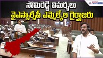 సోమిరెడ్డి విమర్శలు.. వైఎస్సార్సీపీ ఎమ్మెల్యేల గైర్హాజరు: Somi Reddy Comments | Asianet News Telugu