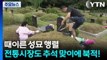 때이른 성묘 행렬...전통시장도 추석 맞이에 북적! / YTN