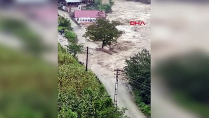 Artvin sağanak etkili oldu; dere taştı, köprü yıkıldı