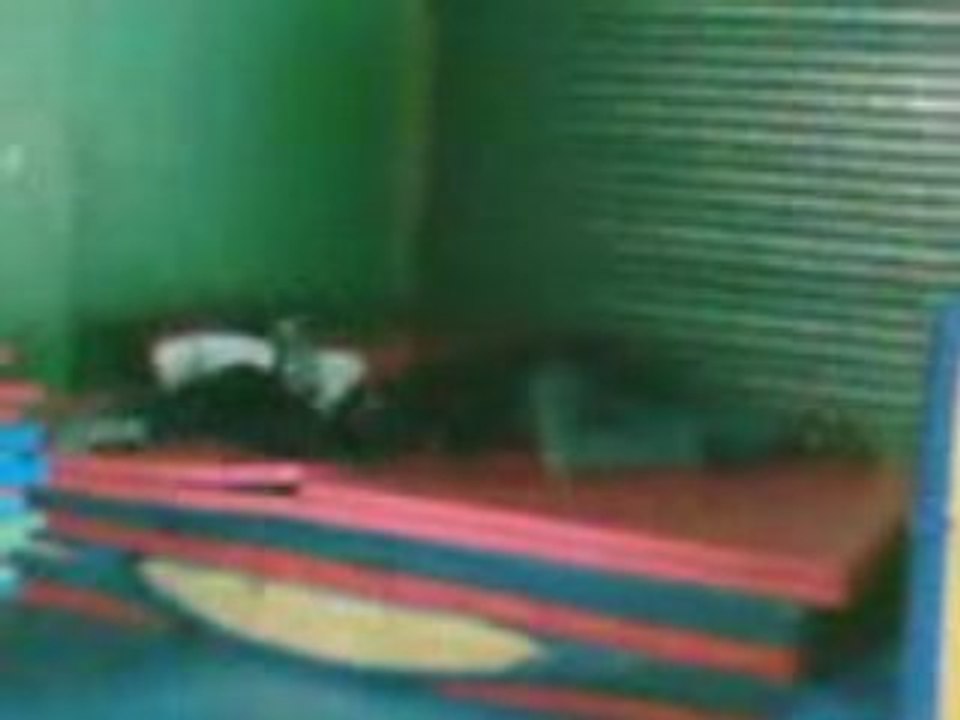 Runing buldog