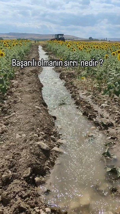 başarılı olmanın sırrı 🤔👏