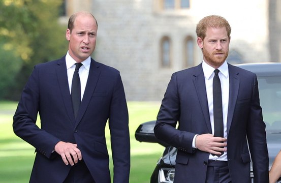 Duke of Sussex's close friend says Prince Harry and Prince William will reconcile in the near future