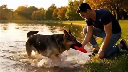 Fearless_Heroes_Save_Loyal_German_Shepherd_from_GIANT_Crocodile_Attack(360p)