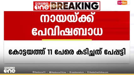 കോട്ടയത്ത് 11 പേരെ കടിച്ച നായയ്ക്ക് പേവിഷബാധ സ്ഥിരീകരിച്ചു