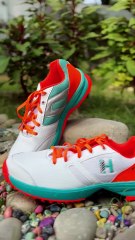 Heega Pegasus Cricket Shoes