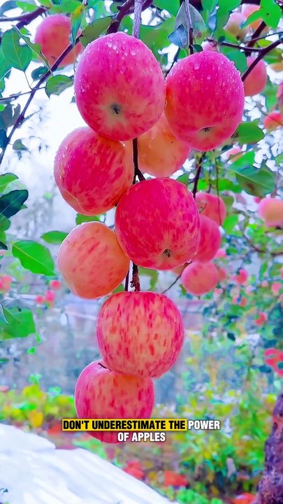 6 Essential Foods to Keep Your Lungs Healthy