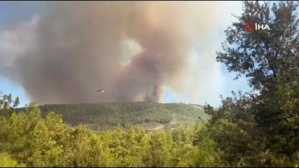 Alanya’da ormanlık alanda yangın