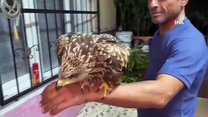 Bulduğu şahine ciğer dürüm söyledi