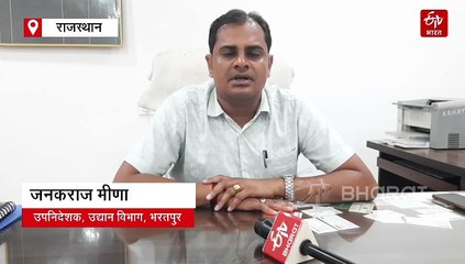सरसों की नगरी अब बनेगी हनी हब : भरतपुर में खुलेगा हनी एक्सीलेंस सेंटर, जमीन आवंटित, बजट भी स्वीकृत