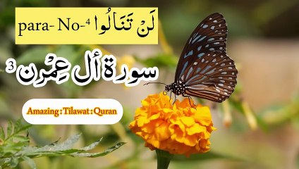 🌹🌹Surah Aal e Imran Beautiful Recitation | Para 4 Quran Tilawat🌹🌹