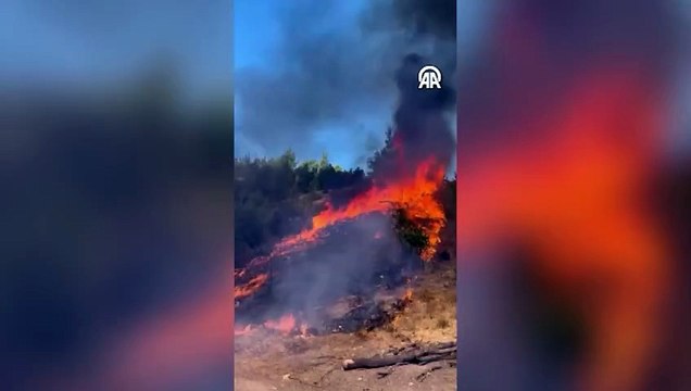 Sındırgı’da orman yangını: Havadan ve karadan müdahale ediliyor