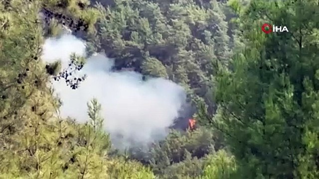 Alanya’da ormanlık alan yangınları kontrol altına alınmaya çalışılıyor