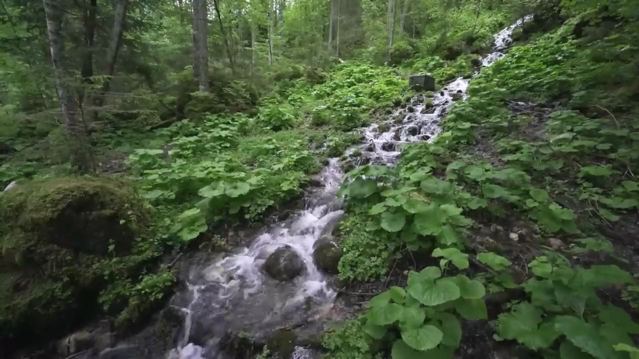 Beautiful Nature View  Relaxing Mountains, Rivers & Green Landscapes