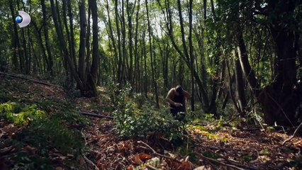 Arka Sokaklar'da büyük sürpriz! Ali geri dönüyor