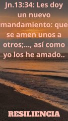 Resiliencia