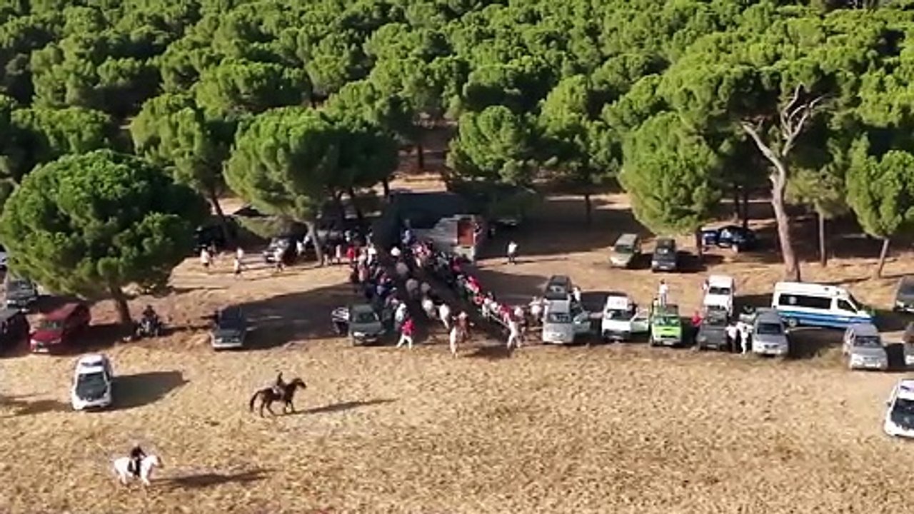 El tercer encierro campero de Nava acaba sin incidentes