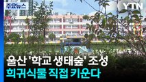 학생이 직접 키우는 희귀식물...'학교 생태숲' 눈길 / YTN