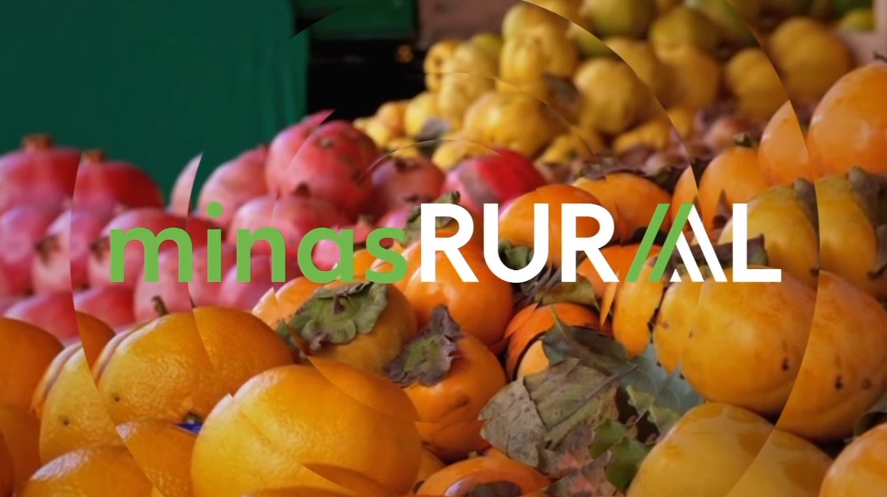 Confira a íntegra do programa Minas Rural deste sábado (20)!