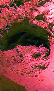 Image from field_mediaid