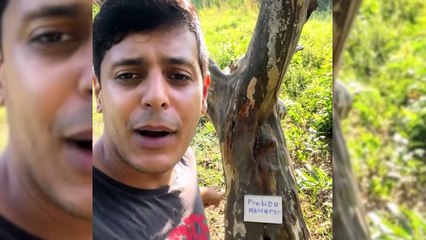 Morador usa pimenta para jovens não transarem com buraco de árvore