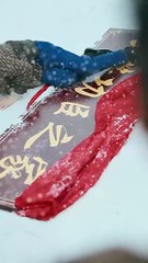 Justice Kneels to No One #Dramabox