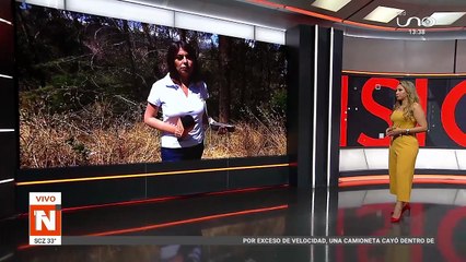 LA PAZ: HALLAN CADÁVER EN UN BARRANCO