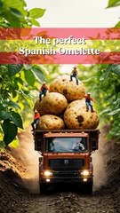 Miniature Spanish Omelet Cooking 🥚🔥 | Tiny Kitchen Recipe You’ll Love