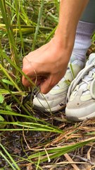 Smart Outdoor Recycling Ideas